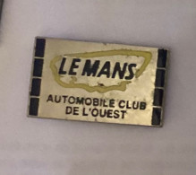 Pin S F 1. LE MANS - F1