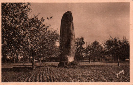 CPA - MENHIR - Pierre Du Champ-Dolent (Environs De DOL)… Edition Yvon - Dolmen & Menhirs