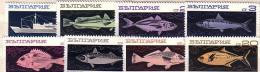 1969 Fauna  FISH  8 V.- MNH  BULGARIA  / Bulgarie - Ungebraucht