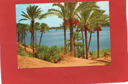 EGYPTE----ASSOUAN--- ASSWAN--Beautiful View Of The Nile At Asswan--voir 2 Scans - Assuan