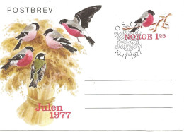 Norway 1977 Post Letter Imprinted Stamp For Christmas 1977, Bird, Eurasian Bullfinch, , Cancelled 10.11  FDC - Lettres & Documents