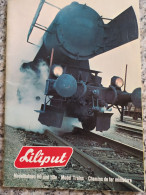 Train Chemin Fer Rail Locomotive Wagon Bahnspass Zug Gleise Catalogue Katalog Liliput 1975 - Alemania