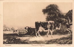 ANIMAUX - Paysages Et Animaux - Musée Du Louvre - Paris - Brascassat - Vaches - Carte Postale Ancienne - Kühe