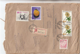 GOOD POLAND " REGISTERED "  Postal Cover To FINLAND 1969  - Good Stamped: Fish ; Dog ; Flowers - Lettres & Documents