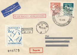 Poland Post - Glider PSZ.1959.lesz.04: Sport Leszno Polish Championships Jaskolka - Zweefvliegers