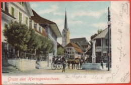 Gruss Aus HERZOGENBUCHSEE Pferde-Kutsche - Herzogenbuchsee