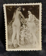 C6/9 - Mulheres * Desnudos * Antique * Photo - Non Classés