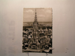 Munster In Ulm - Hochster Kirchturm Der Erde - Neu-Ulm