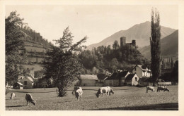 FRANCE - Luz (H P) - Vue Générale Des Ruines Du Château Ste Marie - Carte Postale Ancienne - Luz Saint Sauveur