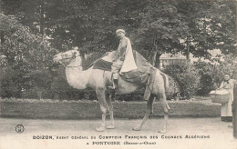 Pontoise * DOIZON Agent Général Du Comptoir Français Des Cognacs Algériens * Chameau * Cognac Alcool Doizon - Pontoise