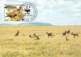 GUINEA - MC 1987 WWF AFRICAN WILD DOG  / 6035 - Guinea (1958-...)