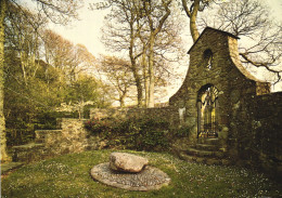 GWYNEDD, GRAVE OF DAVID LLOYD GEORGE, LLANYSTUMDWY, WALES, UNITED KINGDOM, POSTCARD - Gwynedd