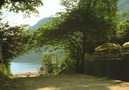 GWYNEDD, LLANBEDROG, LLEYN PENINSULA, TERRACE, UMBRELLA, WALES, UNITED KINGDOM, POSTCARD - Gwynedd