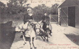 50 - GRANVILLE : Départ Pour Le Marché - Porteuse De Lait - Anes. - Granville