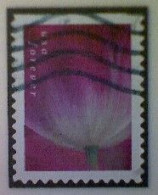 United States, Scott #5781, Used(o), 2023, Tulip Blossom, (63¢), Multicolored - Oblitérés