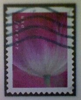 United States, Scott #5781, Used(o), 2023, Tulip Blossom, (63¢), Multicolored - Gebraucht