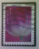 United States, Scott #5781, Used(o), 2023, Tulip Blossom, (63¢), Multicolored - Used Stamps