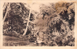 Nouvelle Calédonie  - Houailou - Sous Bois  -  Carte Postale Ancienne - New Caledonia