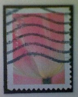 United States, Scott #5778, Used(o), 2023, Tulip Blossom, (63¢), Multicolored - Used Stamps
