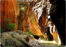 22-2-2024 (1 W 3) USA - Zion National Park - Zion