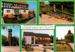 73716145 Burgholz Kirchhain Waldhotel Am Turm Wildschweine Park Burgholz Kirchha - Kirchhain