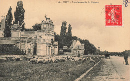 FRANCE - Anet - Vue D'ensemble Du Château - Vue Prise En Face Du Château - Carte Postale Ancienne - Anet