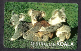 Japan 1V Koala Australian Koala Advertising Used Card - Giungla