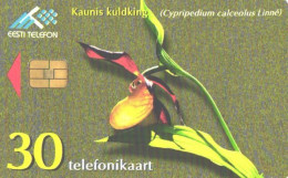 Estonia:Used Phonecard, Eesti Telefon, 30 EEK, Flower, Cypripedium Calceolus Linne, 1998 - Autres & Non Classés