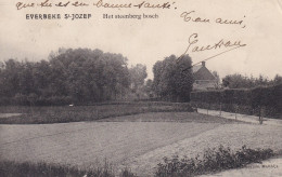 EVERBEEK EVERBECQ EVERBEKE BRAKEL SINT JOZEF HET STEENBERG BOSCH BOS - Brakel