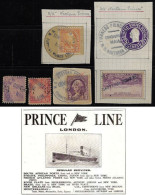 United States USA 1930s 3 Stamp With Cancel Postmark Consignee Mail Furness Prince Line Shipping Company With Perfin - Ungebraucht