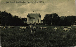 CPA AK BAD AIBLING Schloss Maxlrain GERMANY (1384388) - Bad Aibling