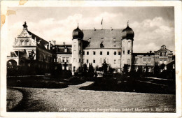 CPA AK BAD AIBLING Schloss Maxlrain GERMANY (1384347) - Bad Aibling