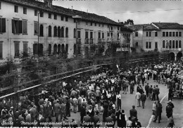 Sacile (Pordenone) - Mercato Degli Uccelli (sagra Dei Osei) - Pordenone