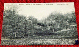 OTTIGNIES  -  Société Du Parc De L'Etoile  - Le Grand Vallon - Ottignies-Louvain-la-Neuve