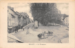 01-BELLEY- LE PROMENOIR - Belley