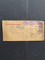 Cover 1890-1940 Ca., Ca. 55 Post(waarde)stukken In Envelop - Niederländisch-Indien