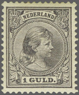 Mounted Mint 1 Gulden Grijsviolet, Pracht Ex. (gom Deels Licht Gelig En Hoektandvouwtje) Met Certificaat Vleeming 2023,  - Unclassified