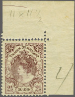 Unmounted Mint 2½ Gulden Grijsviolet Tanding 11½ Met Hoekvelrand (plakkerrestje Op Velrand) En Certificaat Vleeming 2023 - Unclassified