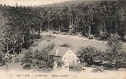 FRANCE - Saint Die - Les Molières - Vue Générale D'une Maison Forestière - L L - Carte Postale Ancienne - Saint Die