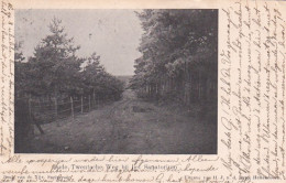 477036Hellendoorn, Oude Twentsche Weg Bij Het Sanatorium. – 1905. (minuscule Vouwen In De Hoeken) - Hellendoorn