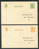 1919 Denmark X 2 Brevkort Stationery Postcards 5ore & 7ore Skolebotaniske Copenhagen Botanical  - Postal Stationery