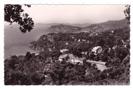 LE RAYOL Le Cap Nègre (carte Photo) - Rayol-Canadel-sur-Mer