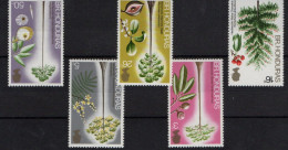 British Honduras Belize Arbres- Trees -Bomen  XXX - British Honduras (...-1970)