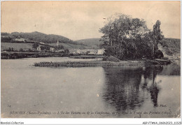 ABPP7-64-0647 - BEHOBIE - L'Ile Des Faisans Ou De La Conférence Ou Fut Signé Le Traité Des Pyrénées - Béhobie