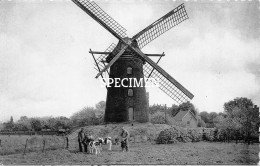 De Molen - Westmalle - Malle