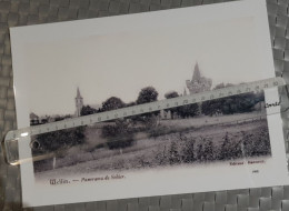 Sohier Wellin (Belgique) - Collection Expositions - Reproduction A4 Plastifiée ( Panorama Et Château 1908) - Plaatsen