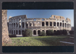 120144/ ROME, Le Colisée - Colosseum