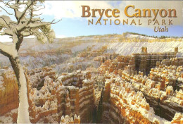 CPM - ETATS UNIS - UTAH - BRYCE CANYON - NATIONAL PARK - NEW WINTER SNOW BLANKETS - Autres & Non Classés