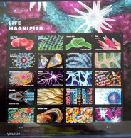 USA 2023, Life Magnified, MNH Sheetlet - Unused Stamps