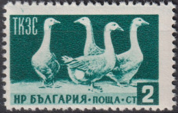 1955 Bulgarien ° Mi:BG 935, Sn:BG 882, Yt:BG 806, L 12¾,  Domestic Geese (Anser Anser Domestica), Gänse - Gebruikt